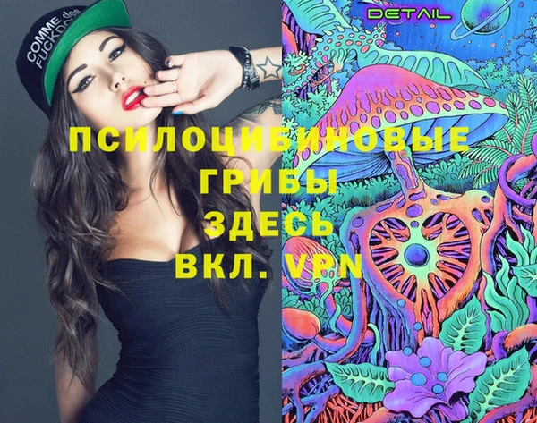 шишки Богданович