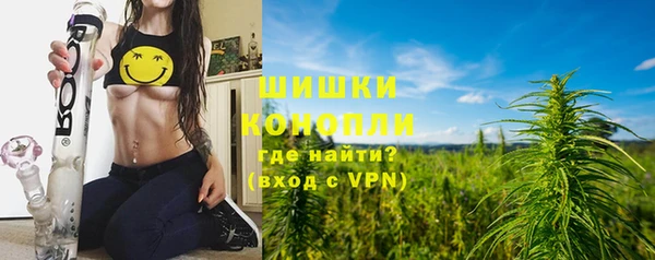 шишки Богданович