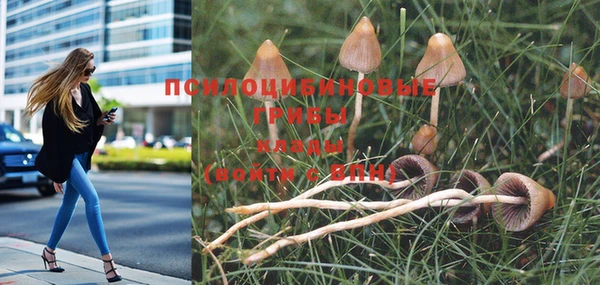 шишки Богданович
