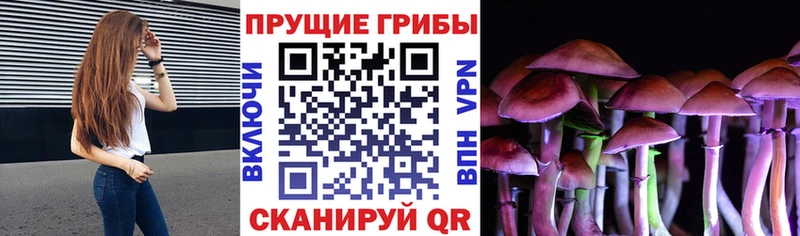Псилоцибиновые грибы MAGIC MUSHROOMS  продажа наркотиков  Навашино 